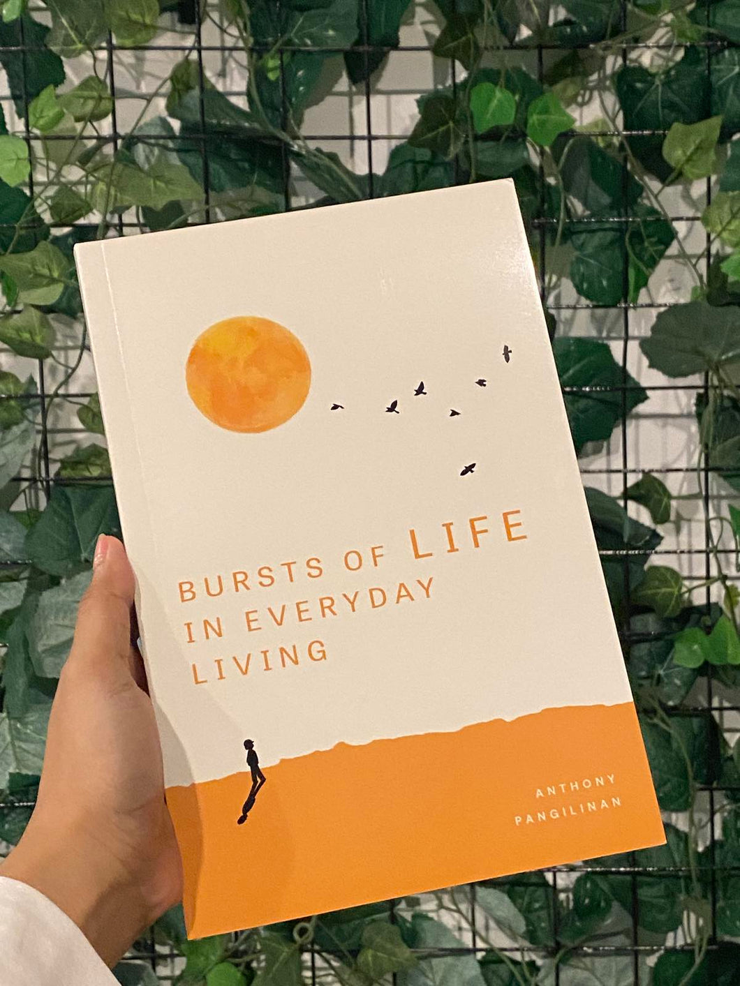 Bursts of Life in Everyday Living (Paperback Copy)
